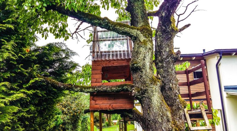 Treehouse