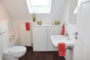 toilet
